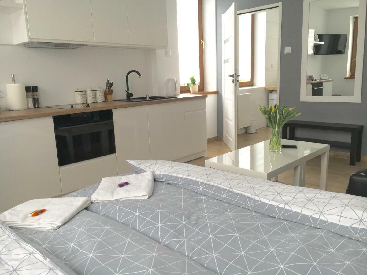 Ap 1 Apartment Częstochowa
